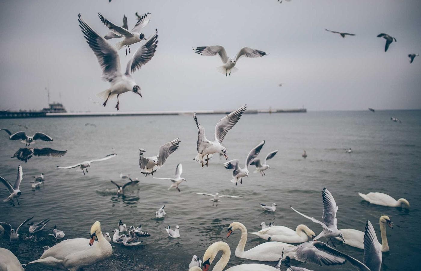 رف مليء بمقتنيات كرتونية ملونة مرتبة مع الصناديق والشارات والشخصيات