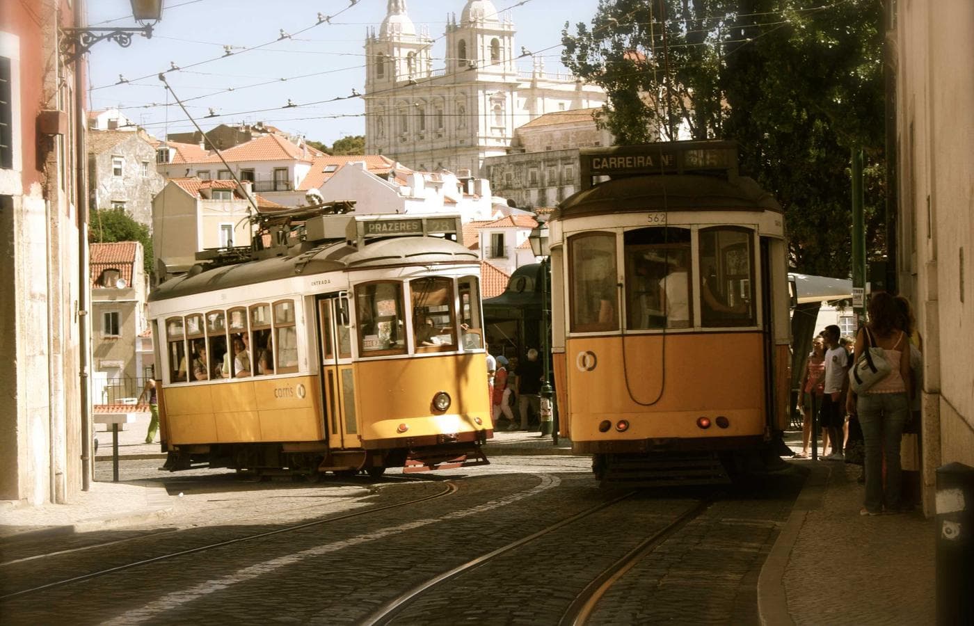 منتجات وتغليف ToonedIn بألوان ربيعية مرتبة ضمن حملة إطلاق